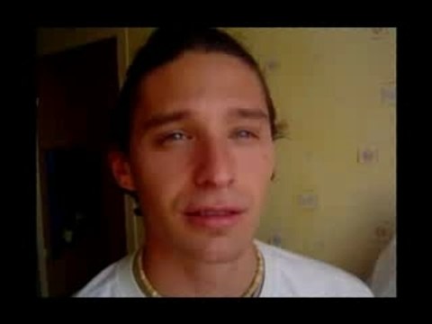 Essaim d'abeilles dans le var