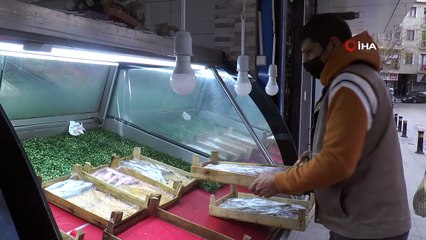 Sokak kedileri bu dükkanların açılmasını dört gözle bekliyor