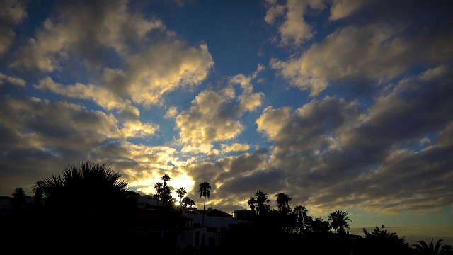 Free 4K SUNRISE NATURE BACKGROUND - No Copyright Stock Video background