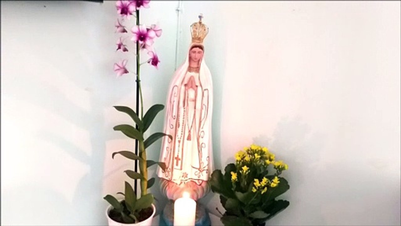 Oração a Santa Teresa de Calcutá