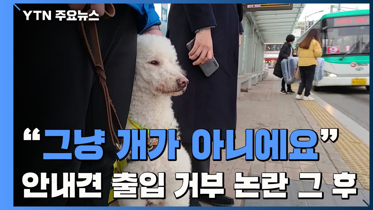 "그냥 개가 아니에요"...'안내견 출입 거부' 논란 그 후 / YTN
