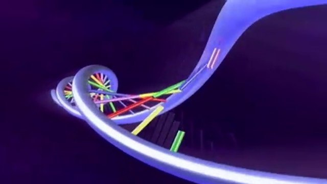 Template Intro 3 Light Italian Translation