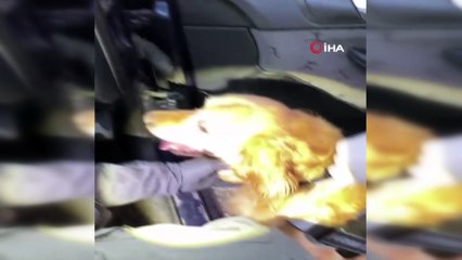 Torpido ve vites altına gizlenen uyuşturucuları ‘Şila’ buldu