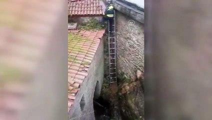 KARABÜK - Dereye düşen kedi ve yavru köpeği itfaiye kurtardı
