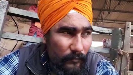 एक महीने से खरीदी केन्द्र पर खड़ी ट्राली का धान खराब, फफक पड़ा किसान