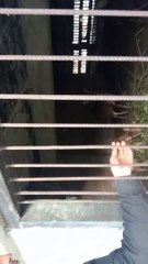 Majuli Dakhinpat Satra