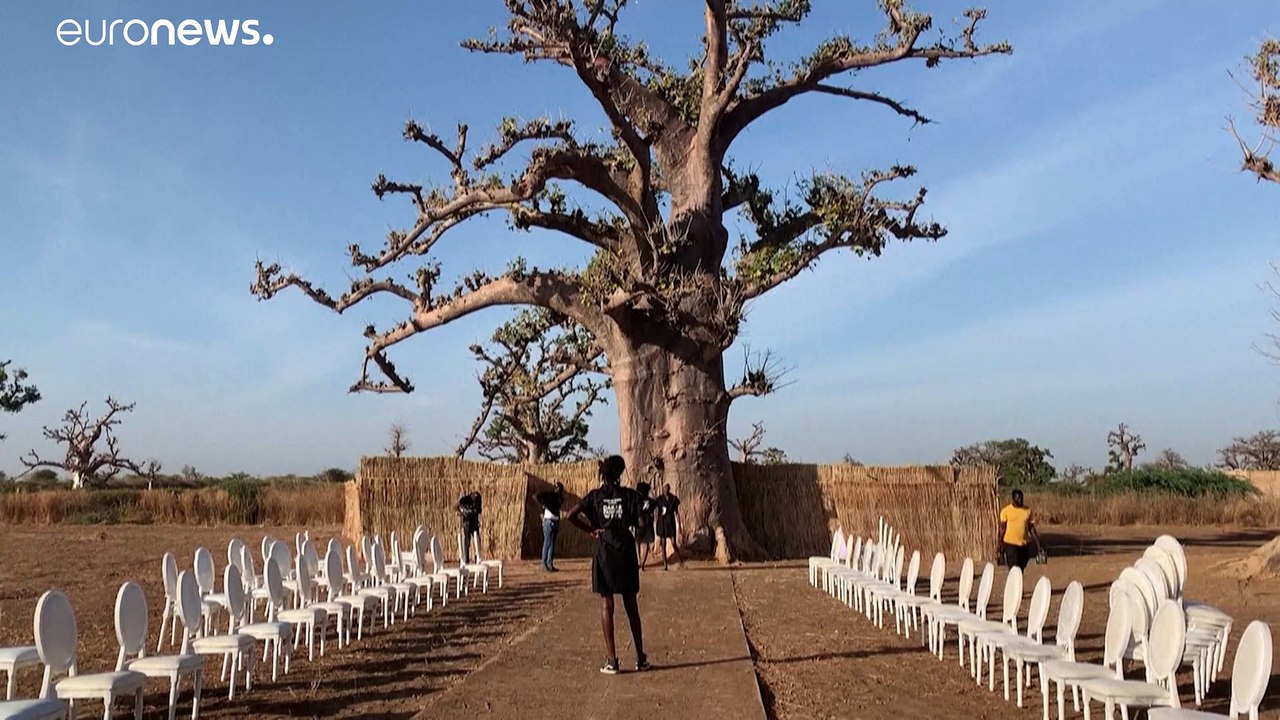 Modenschau unter Affenbrotbäumen: Dakar Fashion Week