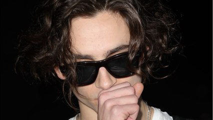 Timothée Chalamet, Pete Davidson Mock Newsmax 'SNL'