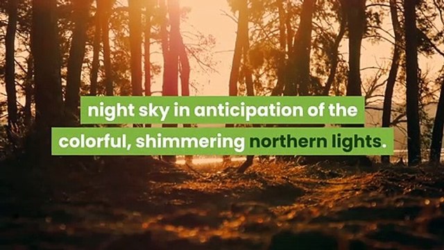 When And Where Northern Lights May Be Seen Across Delaware Valley Sky