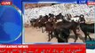 goat farming 200 goats feasibility report_HIGH goat farming in Pakistan Kashmir
