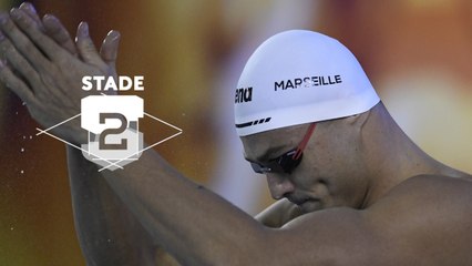 Florent Manaudou : "Je suis venu ici avec des ambitions plus hautes que ce que j'ai réalisé"