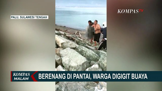 Warga Digigit Buaya Saat Berenang di Pantai, BKSDA: Habitat Buaya Semakin Sempit