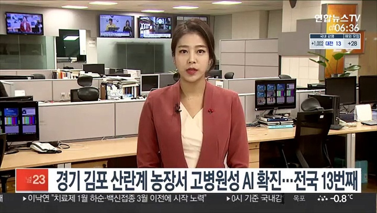 경기 김포 산란계 농장서 고병원성 AI 확진…전국 13번째