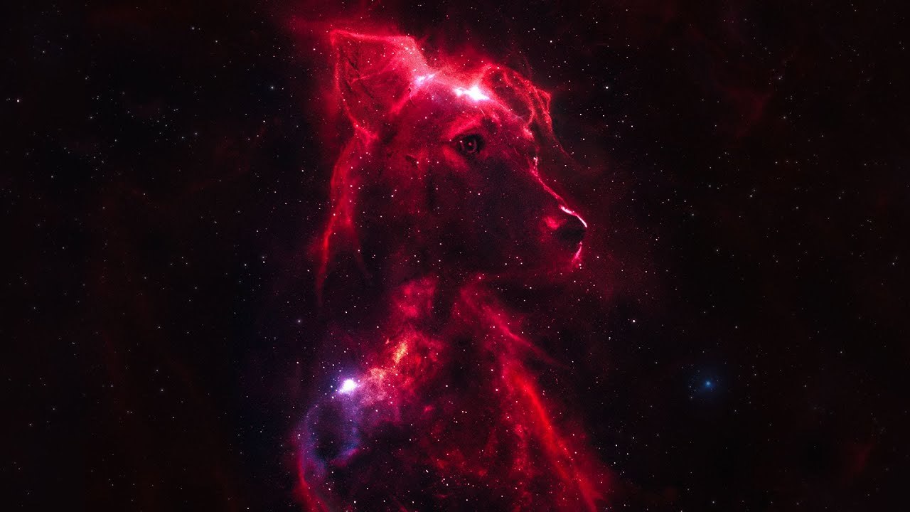 SPACE DOGS Documentary movie