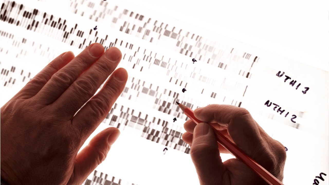 Public DNA Database Leads To Cold Case Killer