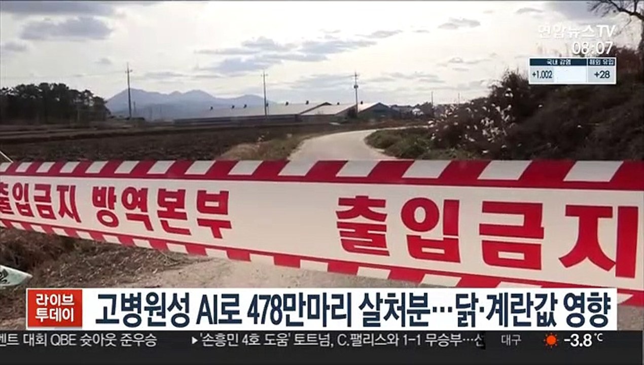 고병원성 AI로 478만마리 살처분…닭·계란 가격 영향