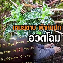 เย็นยะเยือก! อินทนนท์ยอดดอยหนาวจัดแตะ 0 องศา