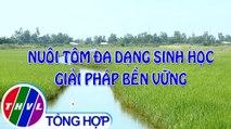 Nông nghiệp bền vững: Nuôi tôm đa dạng sinh học - giải pháp bền vững