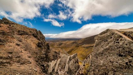 هل يمكن أن تنمو الصخور؟