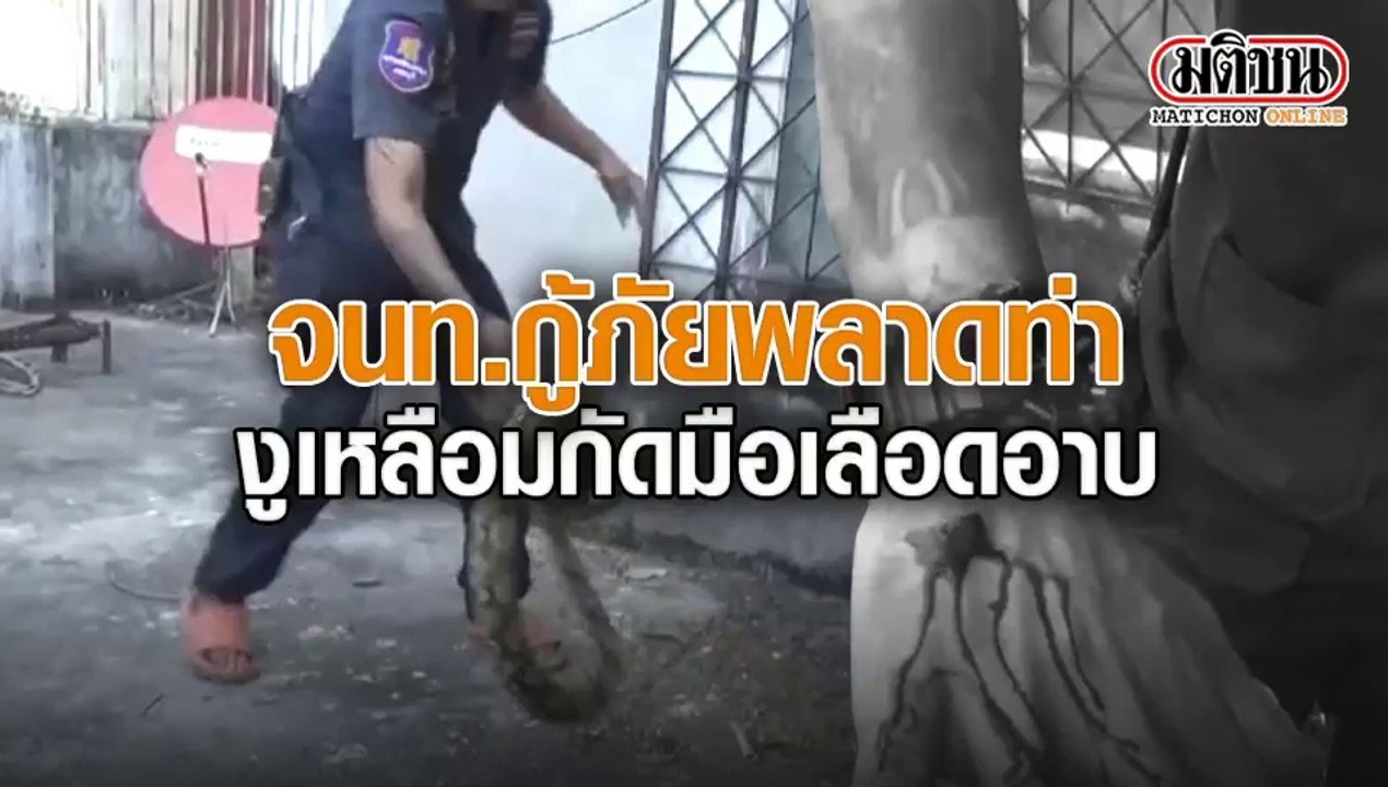 พลาด! จนท.กู้ภัยช่วยจับงูเหลือม ขดบนระเบียงร้าน...