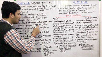 Protista(3)-Euglenoids & Slime Moulds(Acellular & Cellular)