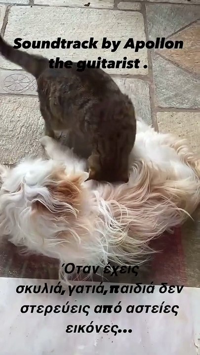 Απόλλων Ρουβάς: Ο μικρός γιος του Σάκη πήρε το...