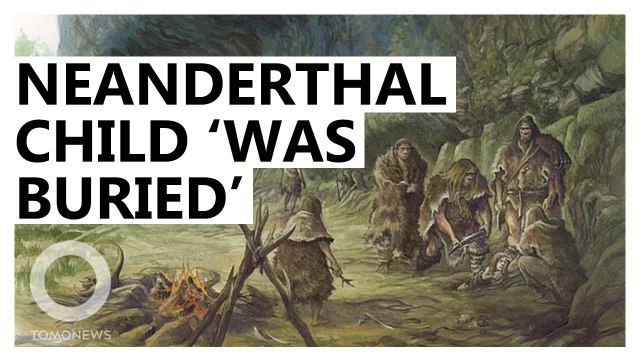 Neanderthals Buried Their Dead, New Study Suggests