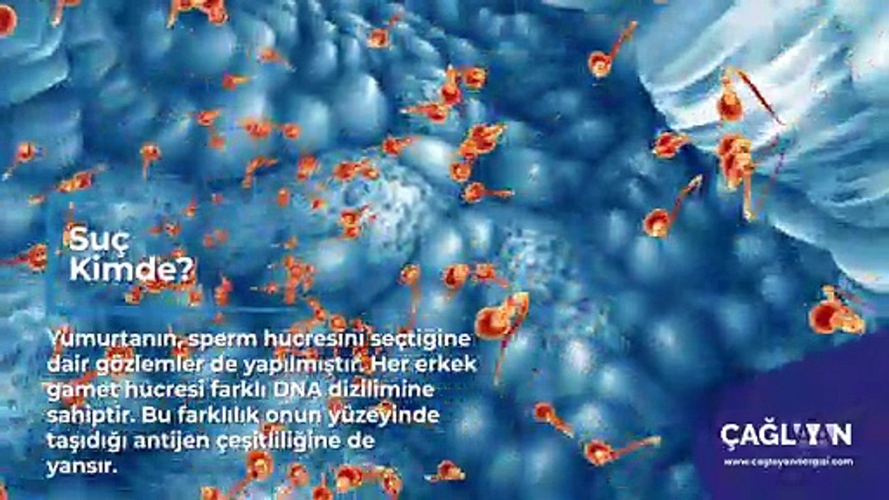 Suç Kimde!