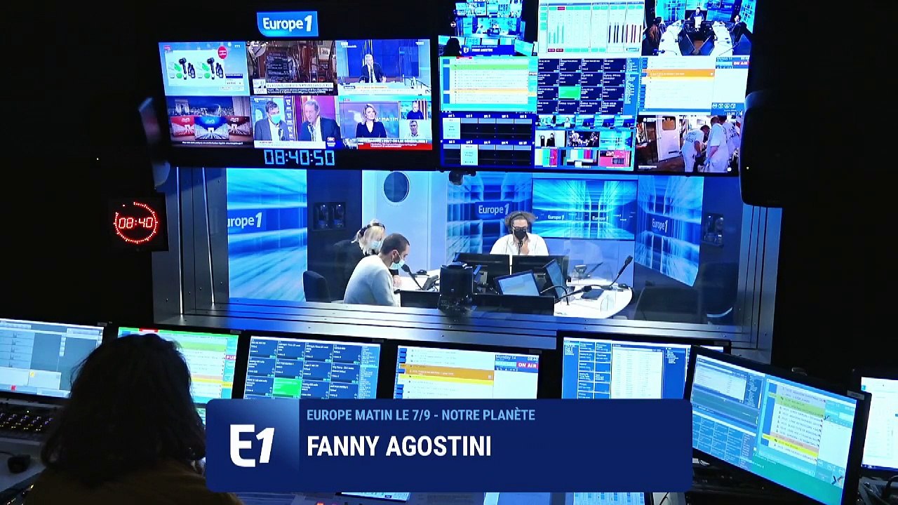 Conservation de la Nature: 31 nouvelles espèces éteintes