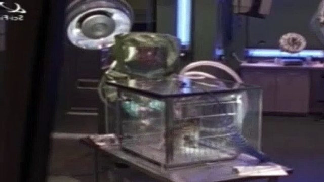 The Outer Limits Season 1 Episode 4 Blood Brothers
