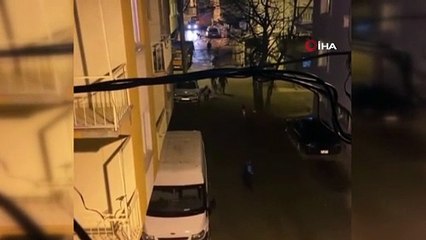 Kendilerini ihbar ettiler sonra kaçtılar