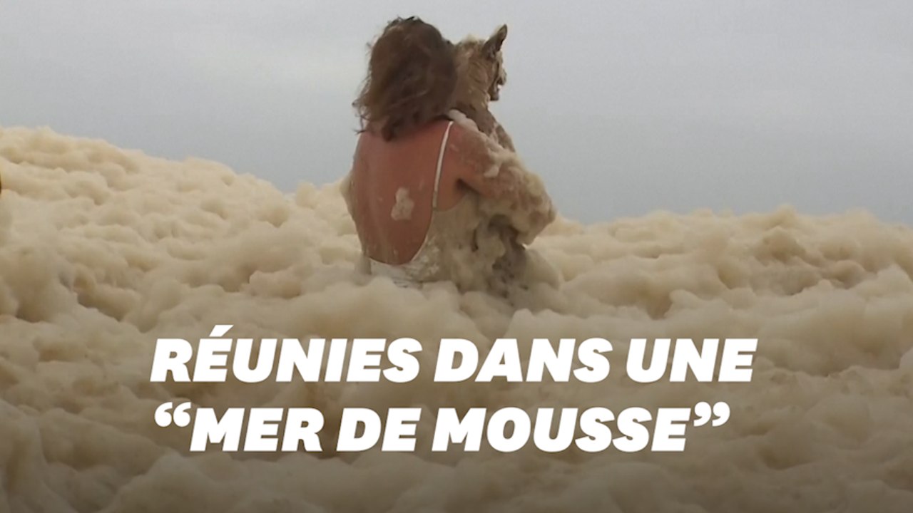 En Australie, cette chienne secourue d'une mer de mousse après de fortes pluies