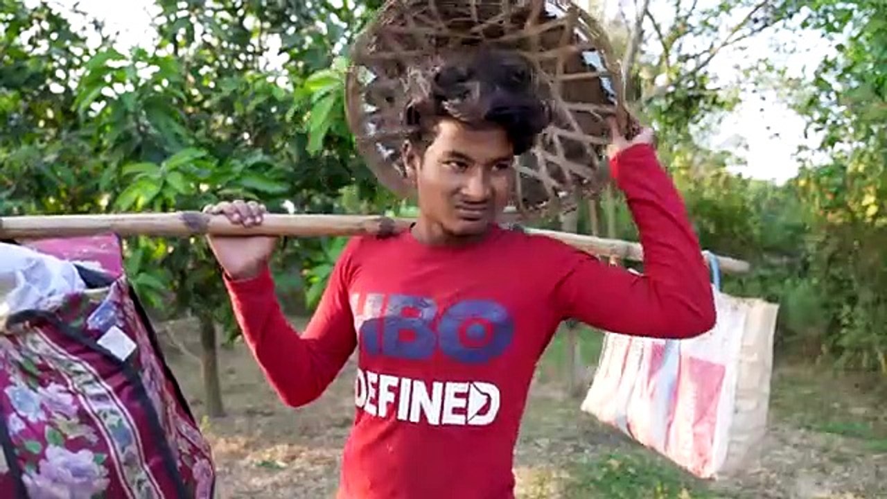 Funny comedy  video