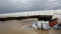 ANTALYA - Serik'te çilek ve muz seraları ile bazı sitelerin bahçeleri su altında kaldı