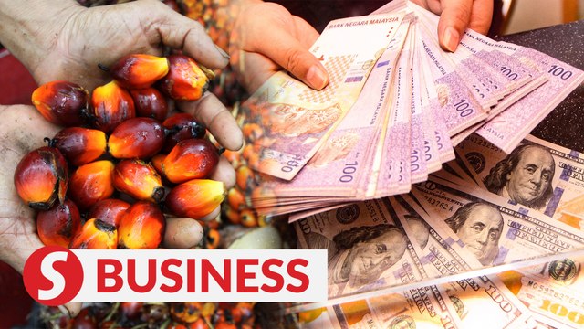 Stronger ringgit could undermine CPO export competitiveness