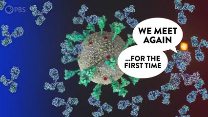 Inside the Lab That Invented the COVID-19 Vaccine