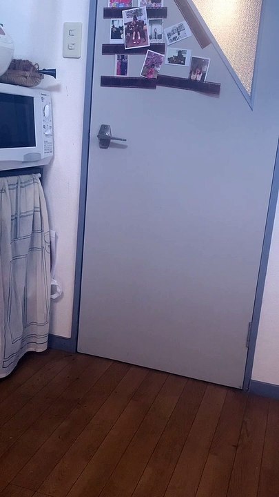 Clever Kitty Lets Itself in the House