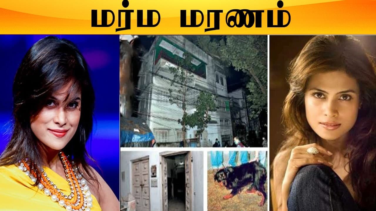 Chithra வை தொடர்ந்து மீண்டும் ஒரு இழப்பு | Arya Banerjee