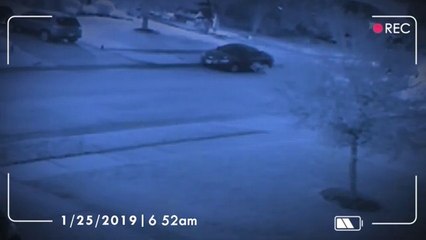 Caught on Camera The Unsolved Case of Elizabeth Barraza