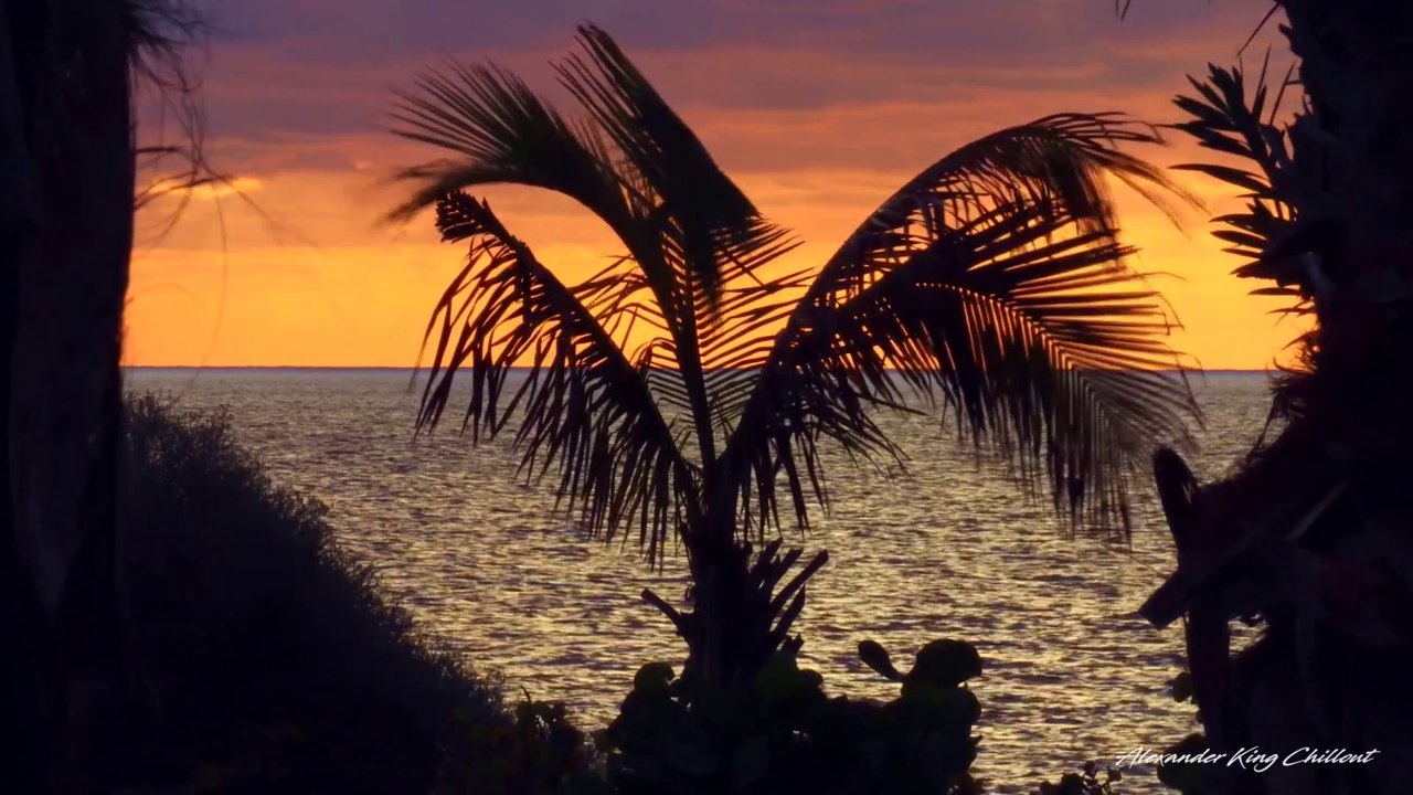 Feeling Happy Summer 4K Music For The Beach Chillout Lounge Relaxing 2021 Mix  Ambient by Alexander King Chillout