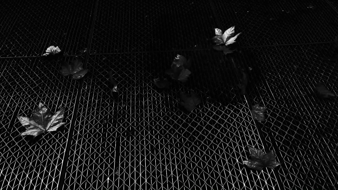 Leonard Rachita city_s_breath_2 Paris France 2020