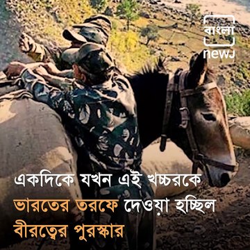 In the 1971 Indo-Pak War, On One Side Pakistani Army While The Pak