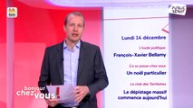 Jean-Yves Leconte et François-Xavier Bellamy - Bonjour chez vous ! (14/12/2020)