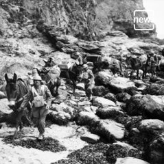 Did You Know That An Indian Mule Got A Gallantry Award In The 1971 War?