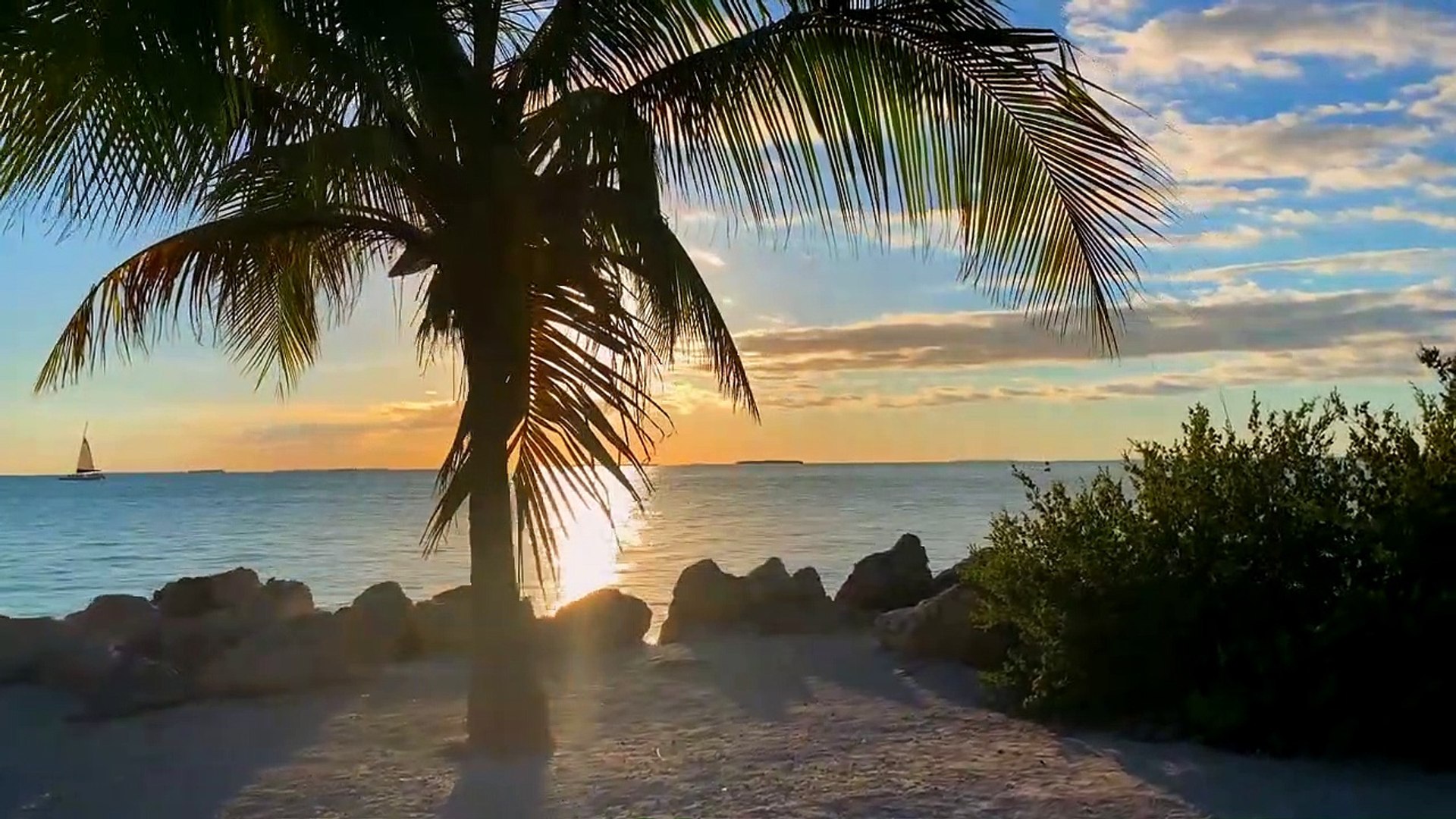 ⁣8k VIDEOS _ Beauty of Nature 8K (60 FPS) HDR  UltraHD  _ Sony Demo
