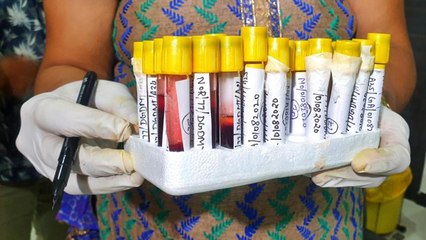 EXCL: That's how lab staff are counterfeiting Covid reports