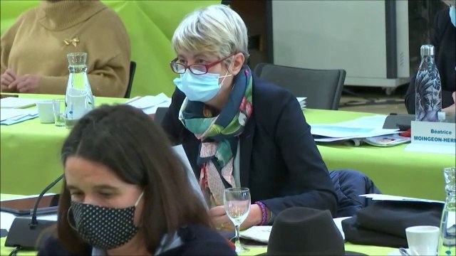 Christine RENAUDIN-JACQUES. Amendement au rapport sur la protection de l'enfance. Session budget primitif 2021 des 14 et 15 décembre 2020