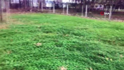 Sapanca Gölü’nün son hali görenleri şaşırtıyor