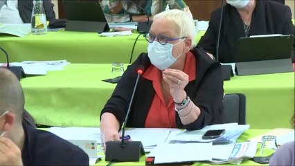 Colette POPARD. Rapport sur la protection de l'enfance. Session budget primitif 2021 des 14 et 15 décembre 2020