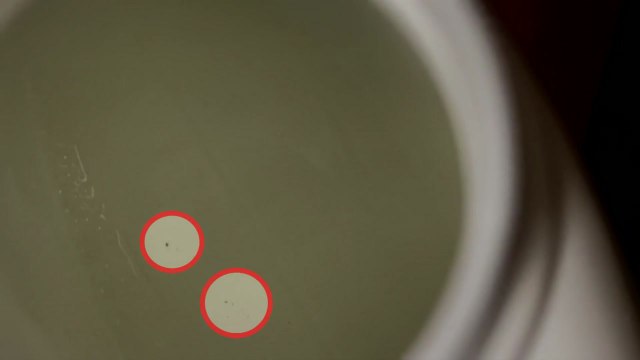 젖병세정제에서 이물질 발견 항의 빗발...판매사 조사 중 / YTN
